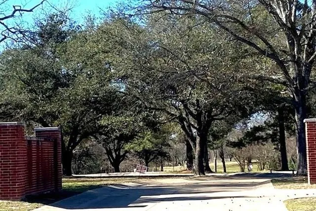 a view of a tree in front of a house