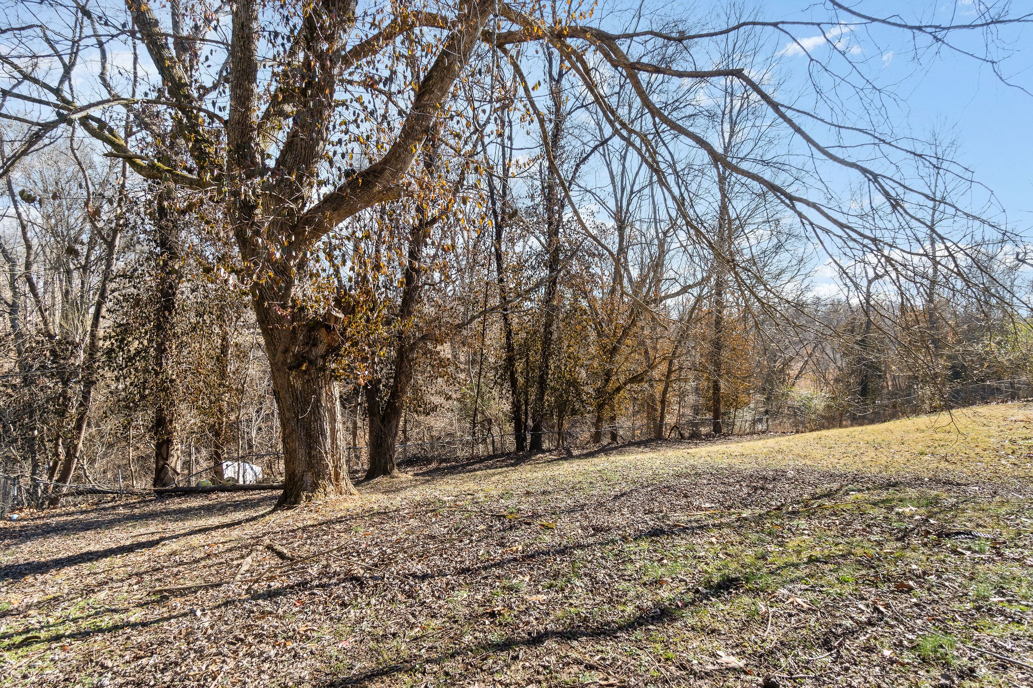 2445 Whitfield Road Clarksville, TN 37040 - Photo 29 of 29 a view of a yard with trees