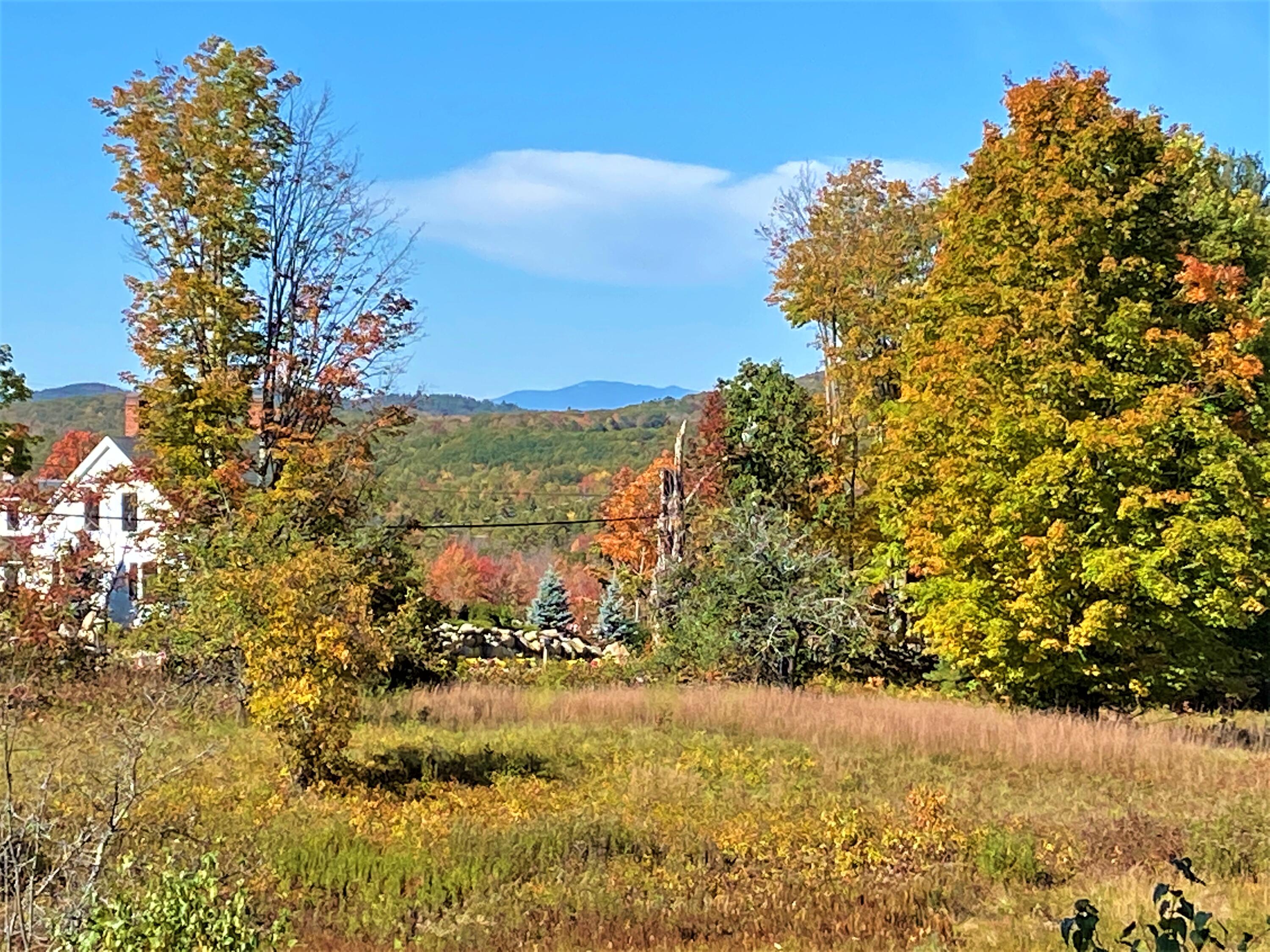 Lot 12 Libby Road West Newfield, ME 04095 - Photo 8 of 18 IMG_16215