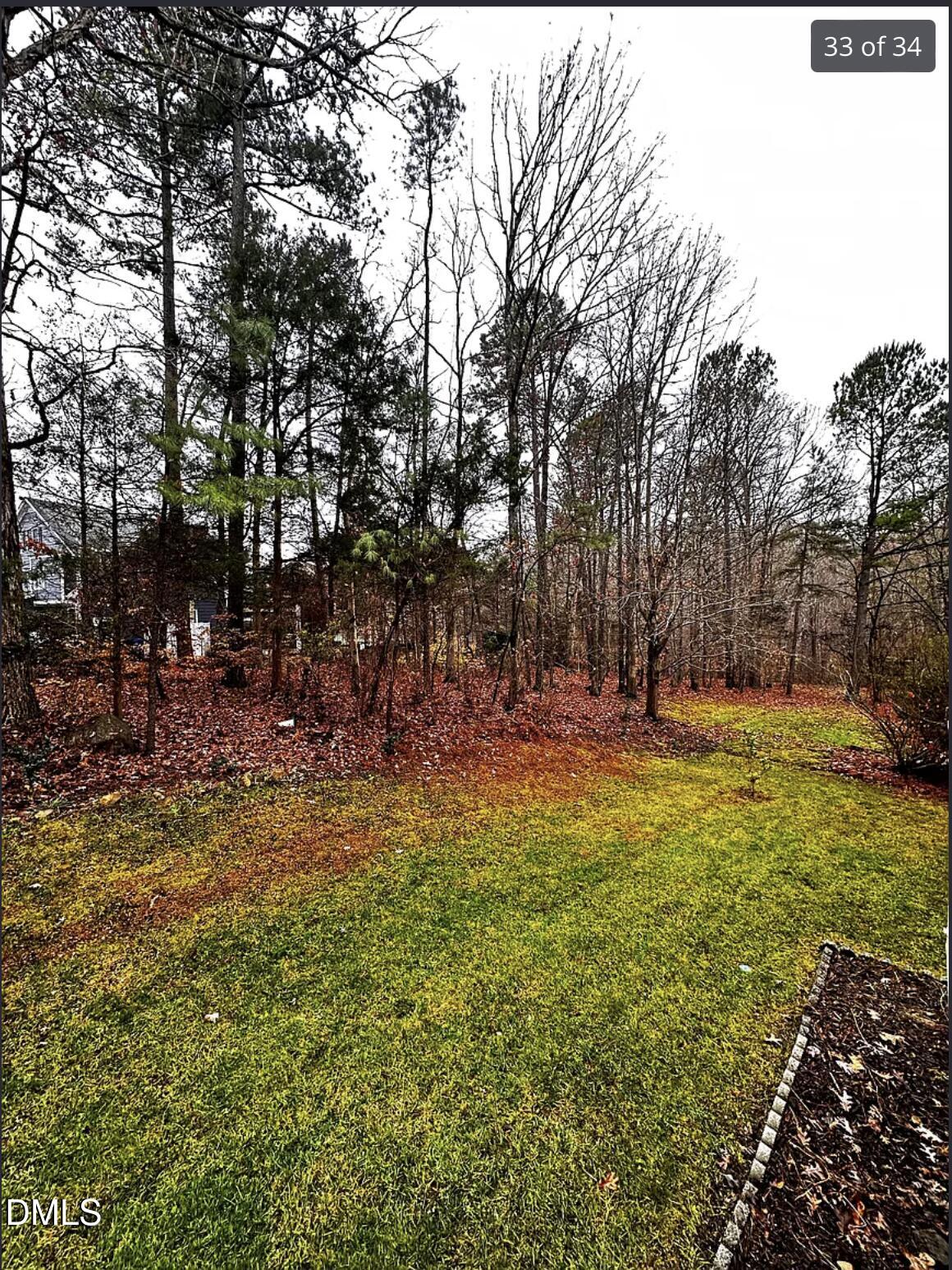 214 Cobble Ridge Drive Chapel Hill, NC 27516 - Photo 33 of 34 a view of backyard with tree