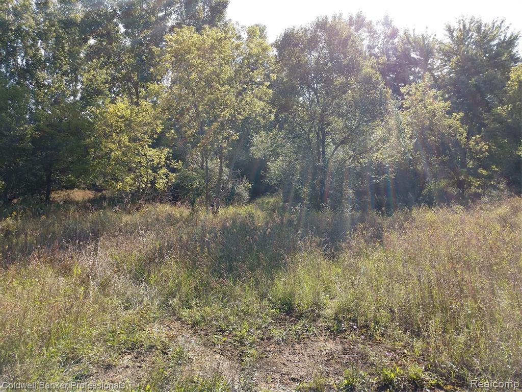Vl East Mt Morris Road Mount Morris, MI 48458 - Photo 3 of 4 Gallery Image 3