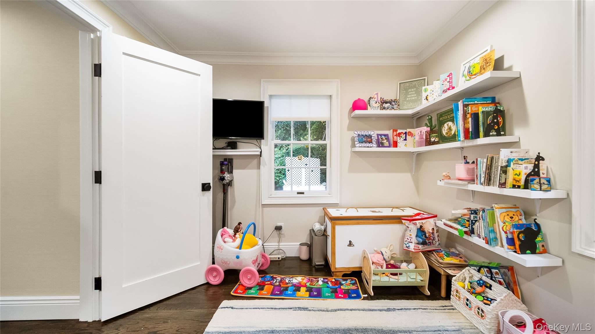 305 Nassau Avenue Manhasset, NY 11030 - Photo 15 of 27 a children room with toys