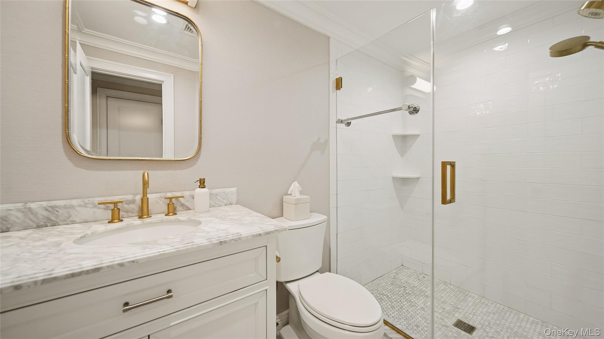 305 Nassau Avenue Manhasset, NY 11030 - Photo 20 of 27 a bathroom with a granite countertop sink a toilet and shower
