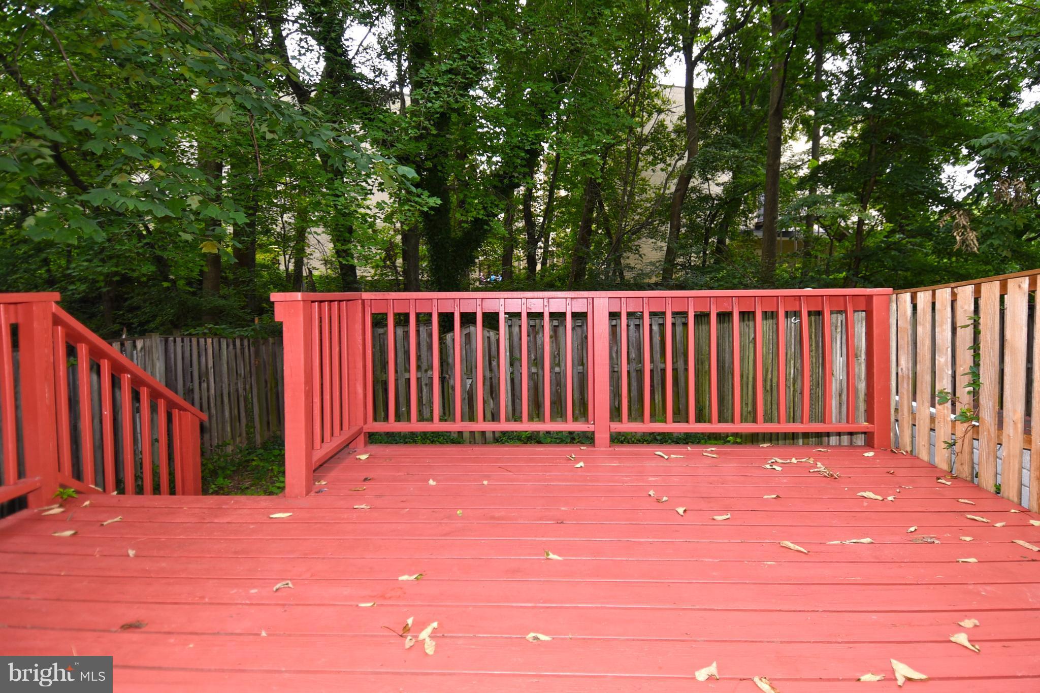 12725 Turquoise Terrace Silver Spring, MD 20904 - Photo 27 of 30 Back Patio