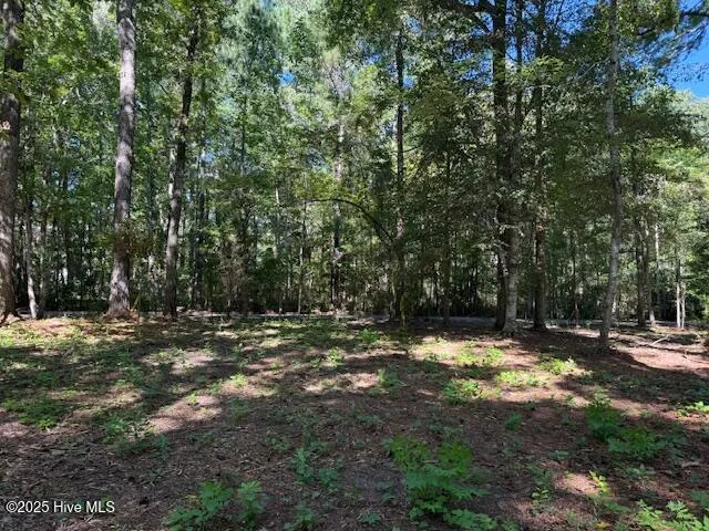 $67,000 | 6702 Hummingbird Place, Oriental, NC 28571