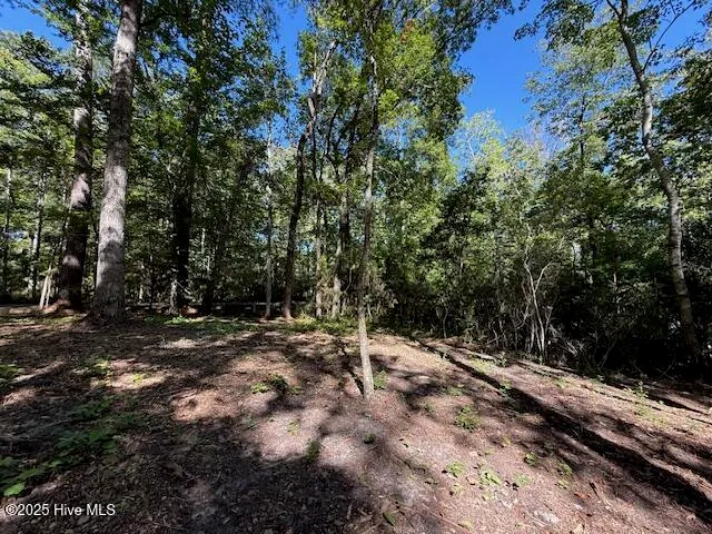 $67,000 | 6702 Hummingbird Place, Oriental, NC 28571