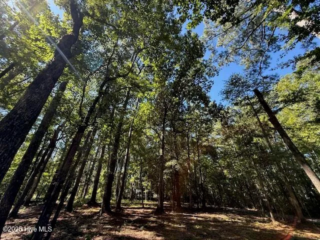 $67,000 | 6702 Hummingbird Place, Oriental, NC 28571