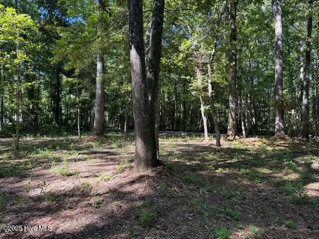 $67,000 | 6702 Hummingbird Place, Oriental, NC 28571