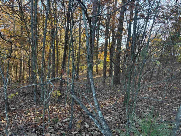 a view of outdoor space with lots of trees