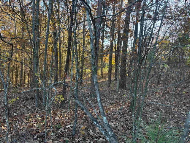 a view of outdoor space with lots of trees