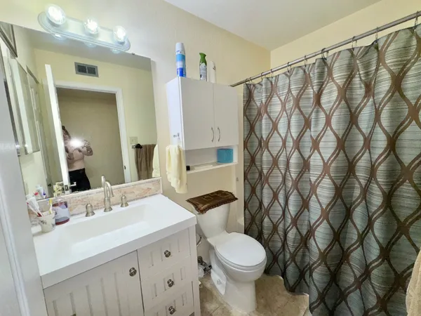 a bathroom with a sink a toilet and shower curtain