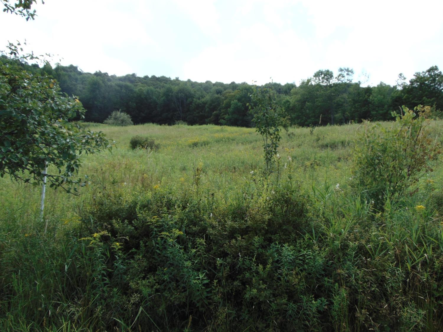 164 Smith Road Sanford, NY 13754 - Photo 1 of 1 Gallery Image 1