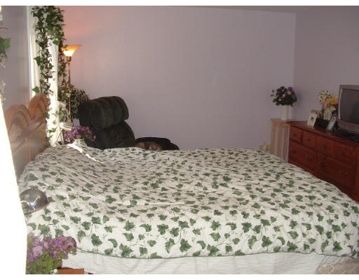 6 Maple Court Ashland, MA 01721 - Photo 8 of 12 Gallery Image 8