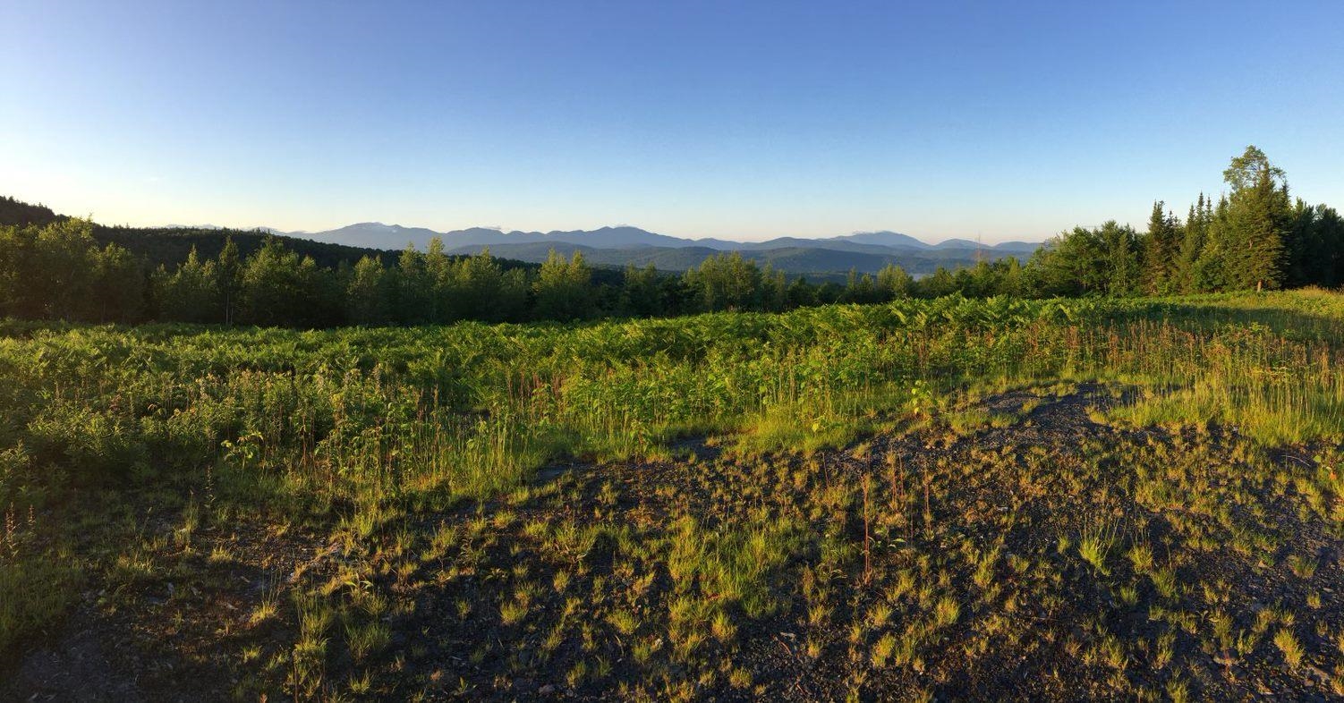 Lot 32 Slate Ledge Road Littleton, NH 03561 - Photo 20 of 23