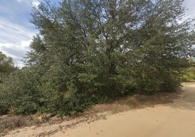 $12,000 | 821 Kitty Avenue, Interlachen, FL 32148