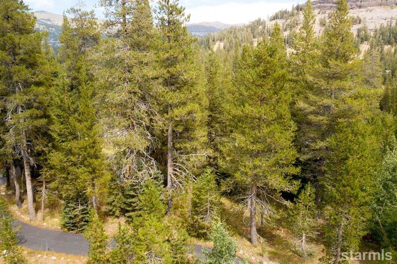 34030 Fremont Road, Unit 100 Kirkwood, CA 95646 - Photo 3 of 9