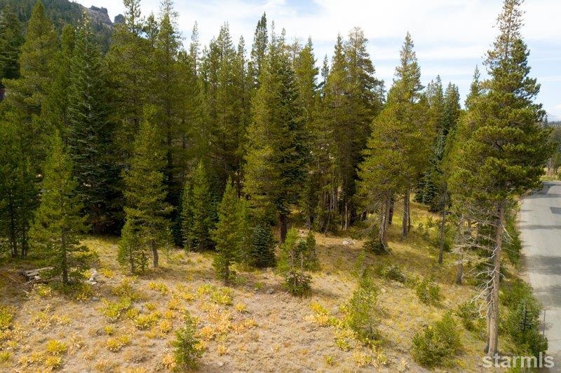 34030 Fremont Road, Unit 100 Kirkwood, CA 95646 - Photo 10 of 10 a view of residential houses and trees