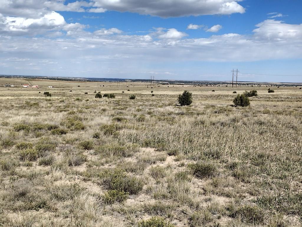 Lot 6 Long Ridge Trail Rye, CO 81069 - Photo 10 of 32