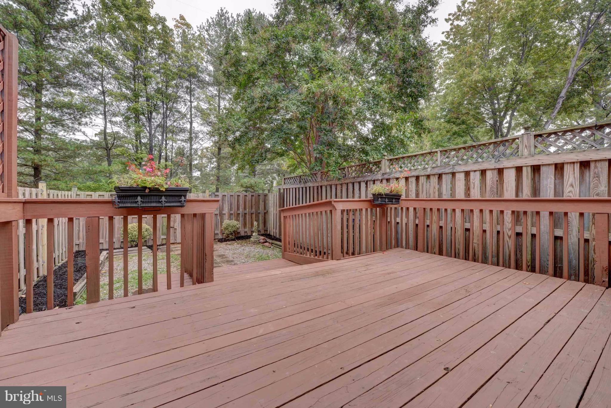 7794 Euclid Way Springfield, VA 22153 - Photo 19 of 20 Exterior (Rear)