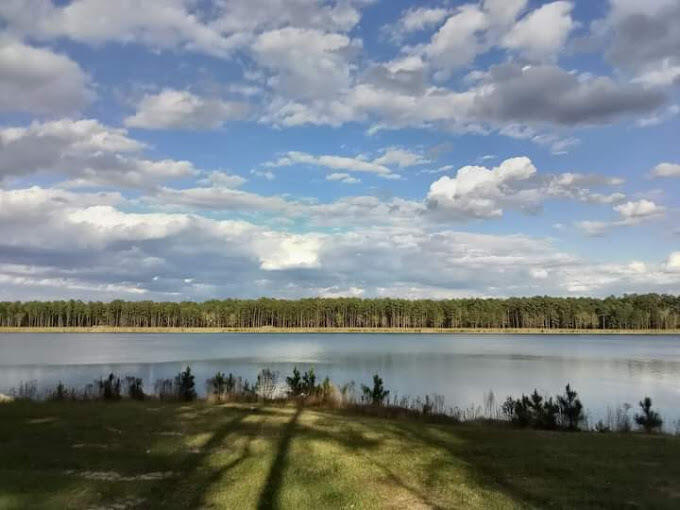 764 Maynard Lane Summerville, SC 29486 - Photo 51 of 56 Lakes Photo