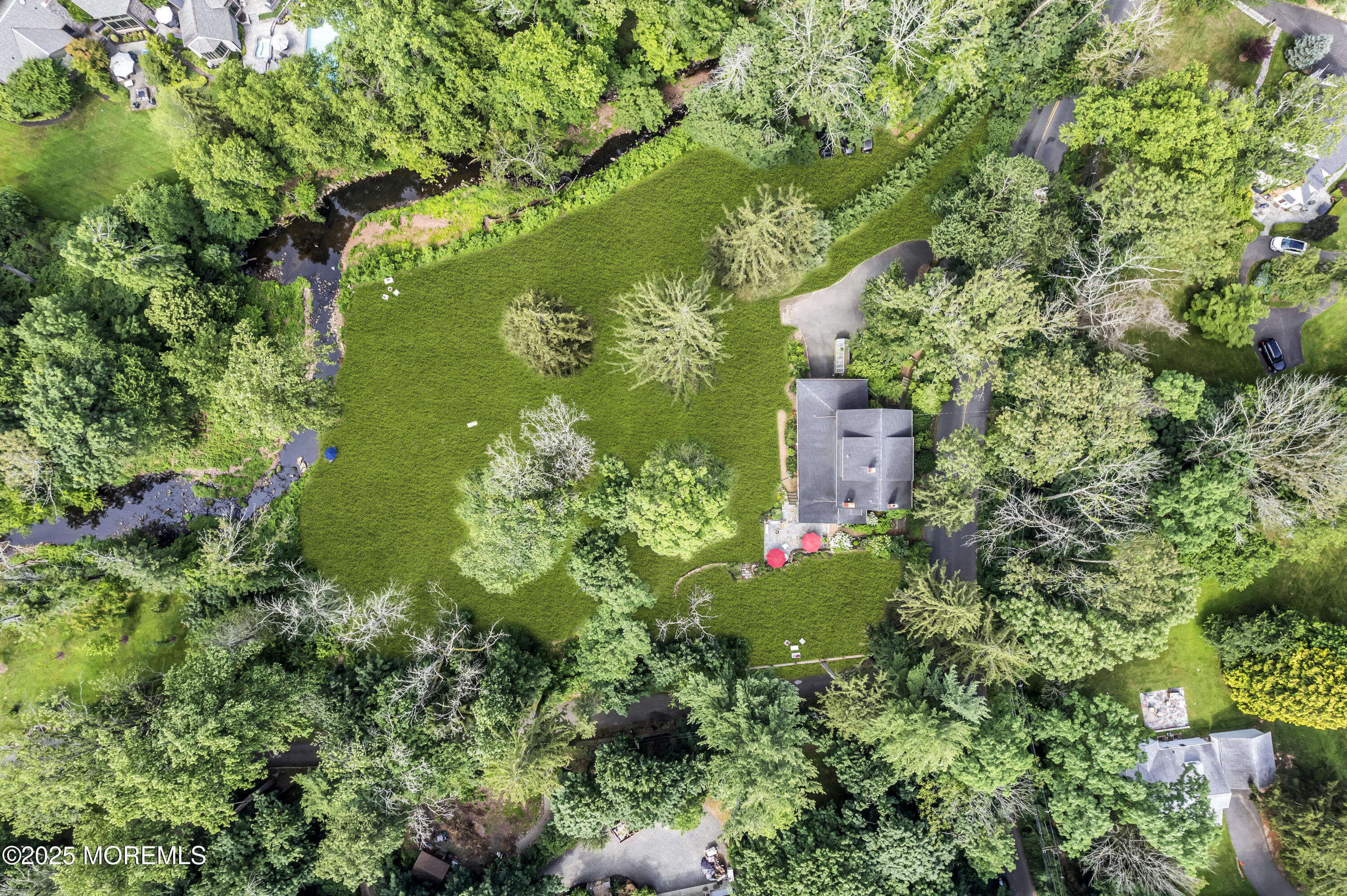 2041 Raritan Road Scotch Plains, NJ 07076 - Photo 8 of 106 a view of a garden with a flower