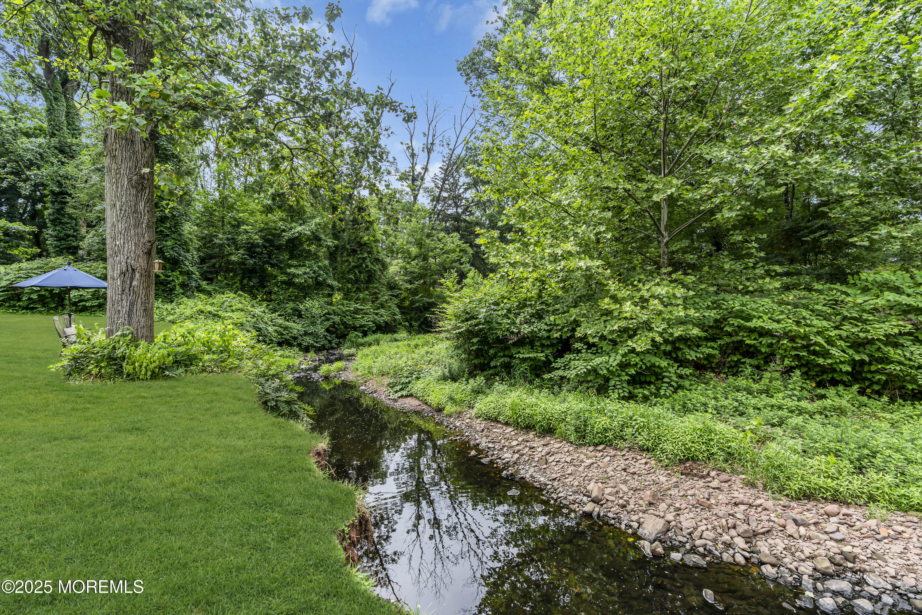 2041 Raritan Road Scotch Plains, NJ 07076 - Photo 88 of 106 a view of a garden with plants and large trees