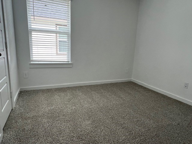 1006 Perezia Court Rosharon, TX 77583 - Photo 17 of 21 Room 4