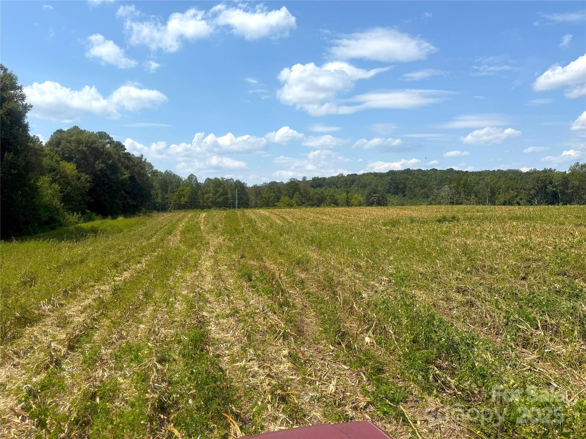 0 South Love Chapel Road Stanfield, NC 28163 - Photo 3 of 13 a view of lake and mountain