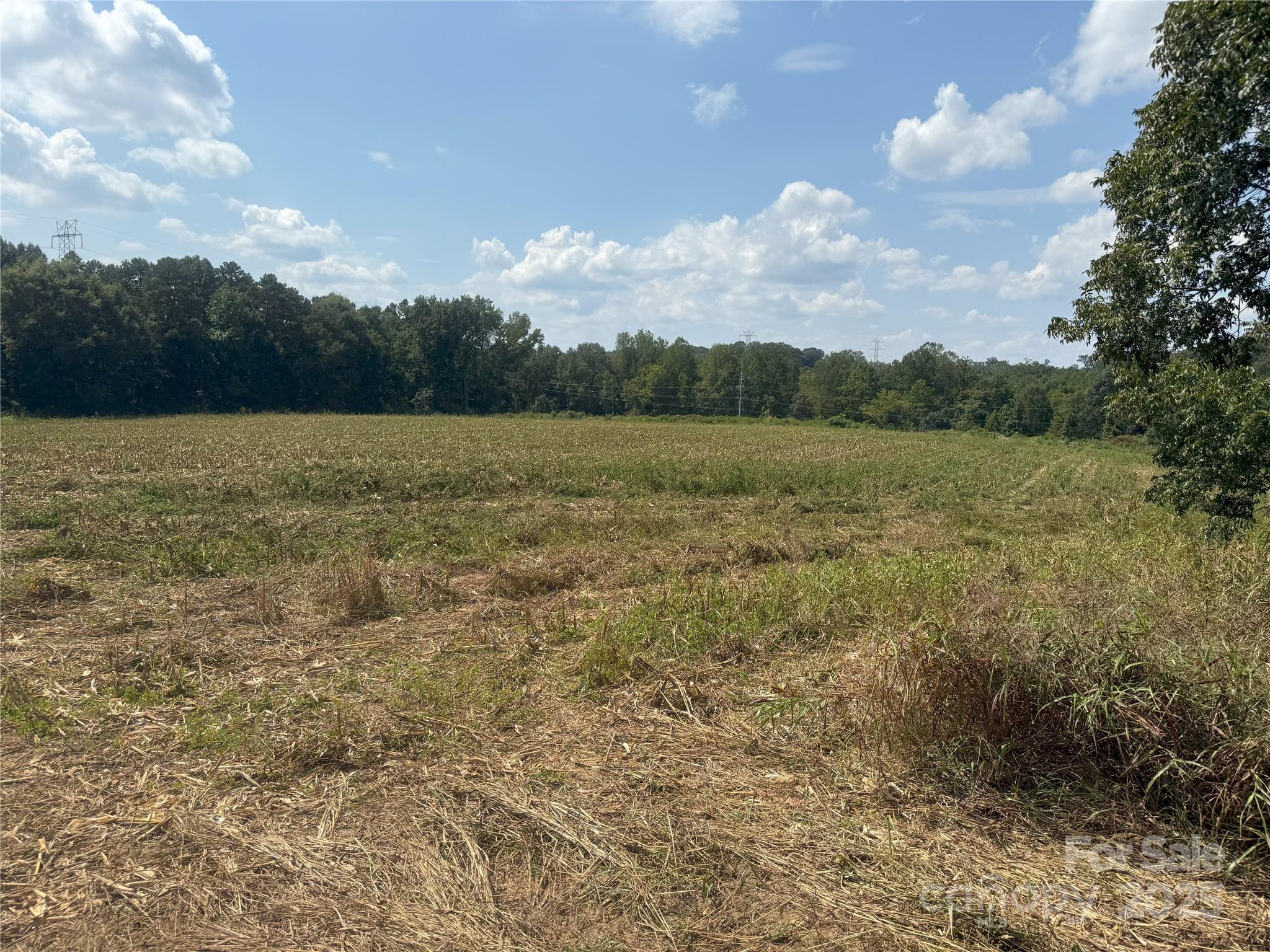 0 South Love Chapel Road Stanfield, NC 28163 - Photo 6 of 13 a view of lake with lots of green space