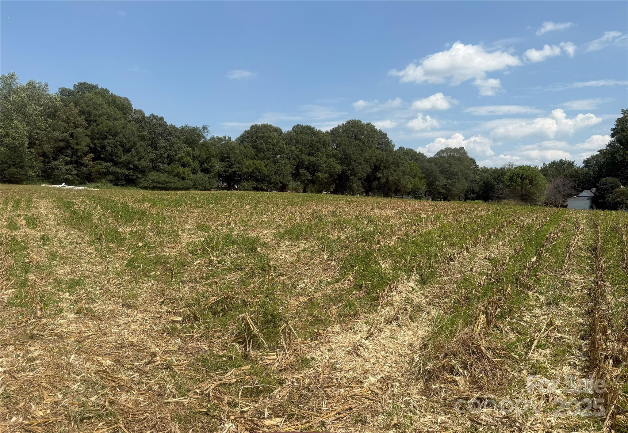 0 South Love Chapel Road Stanfield, NC 28163 - Photo 7 of 13 a view of an outdoor space and a yard