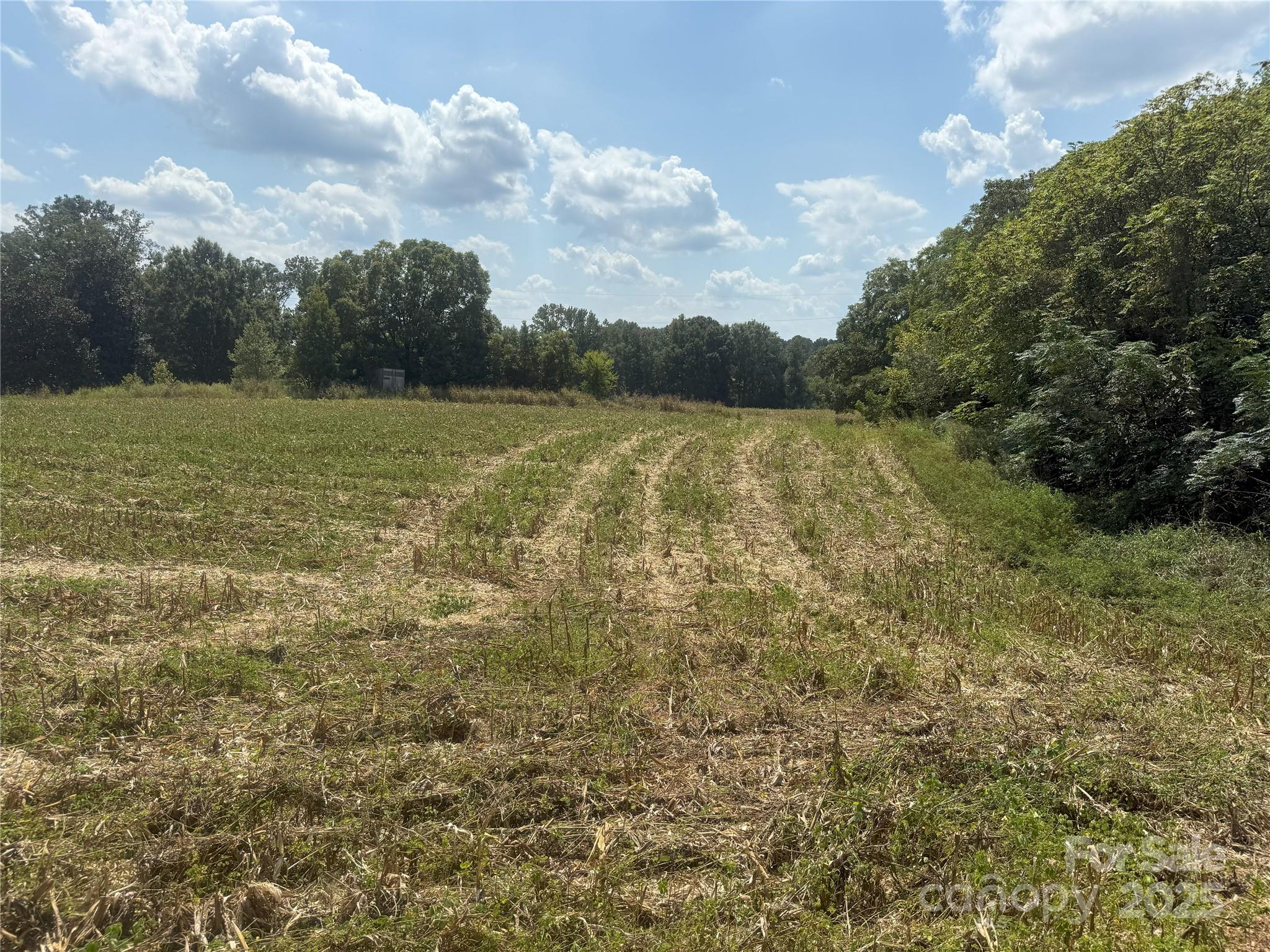 0 South Love Chapel Road Stanfield, NC 28163 - Photo 8 of 13 a view of a lake view