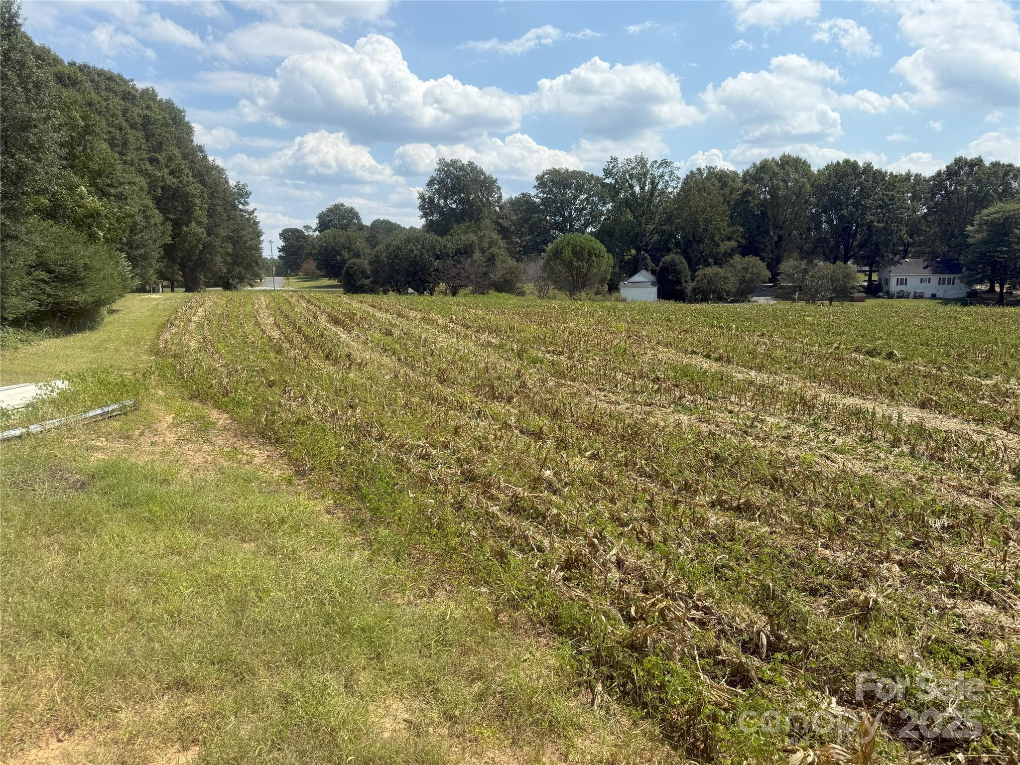 0 South Love Chapel Road Stanfield, NC 28163 - Photo 9 of 13 a view of a grassy field with an trees