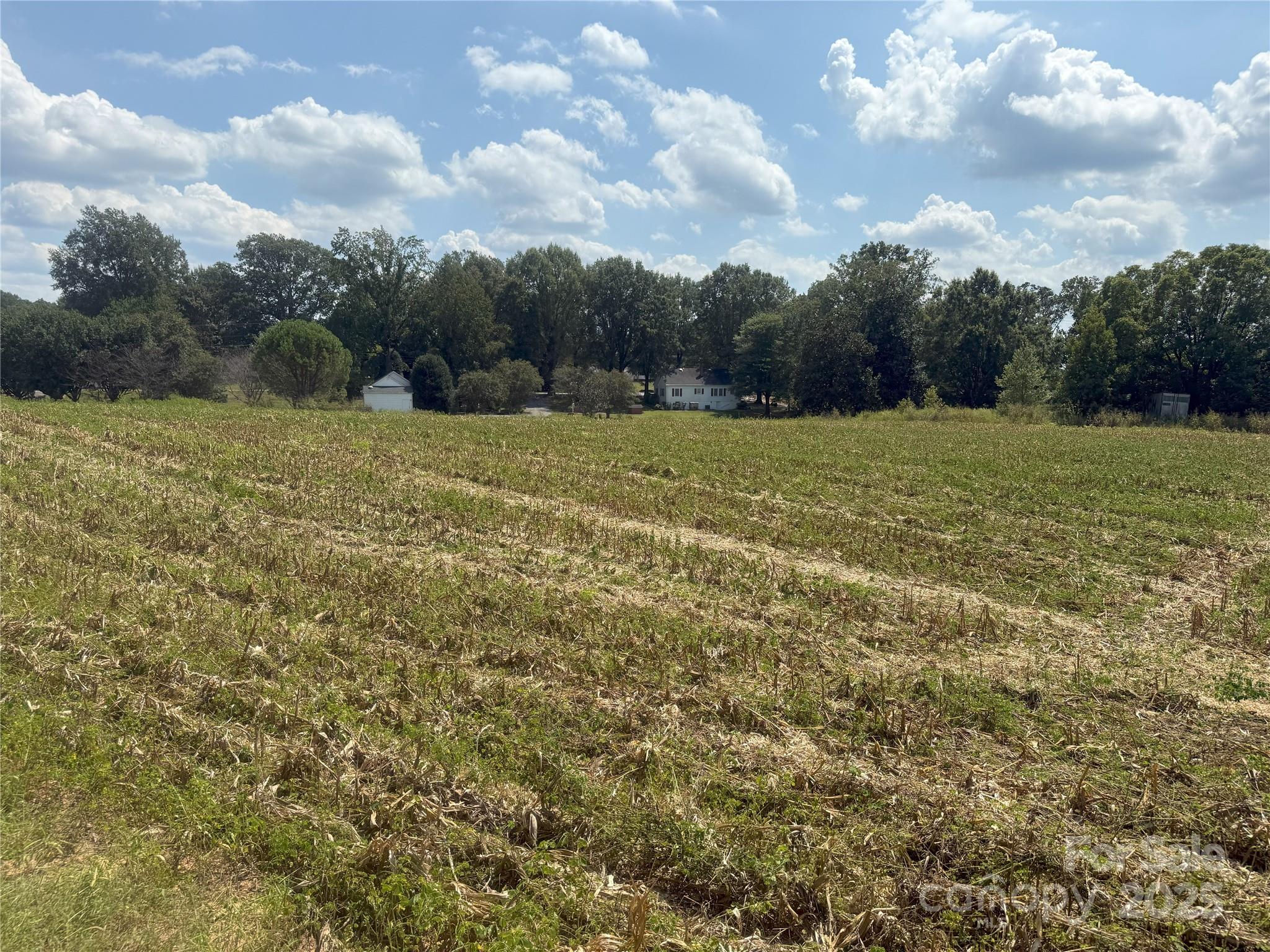 0 South Love Chapel Road Stanfield, NC 28163 - Photo 10 of 13 a view of a big yard with large trees