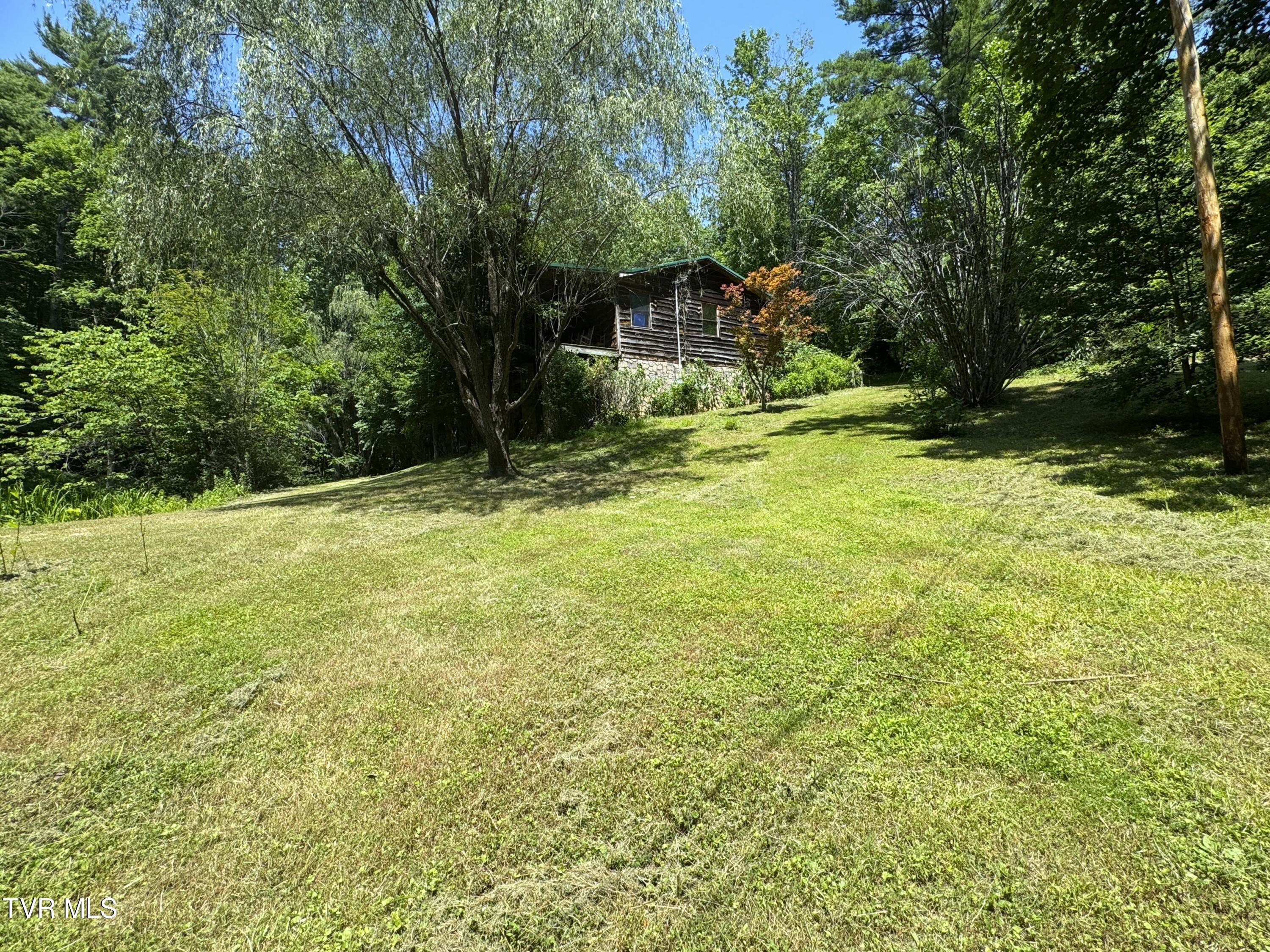 946 Bull Mountain Road Del Rio, TN 37727 - Photo 42 of 48 41