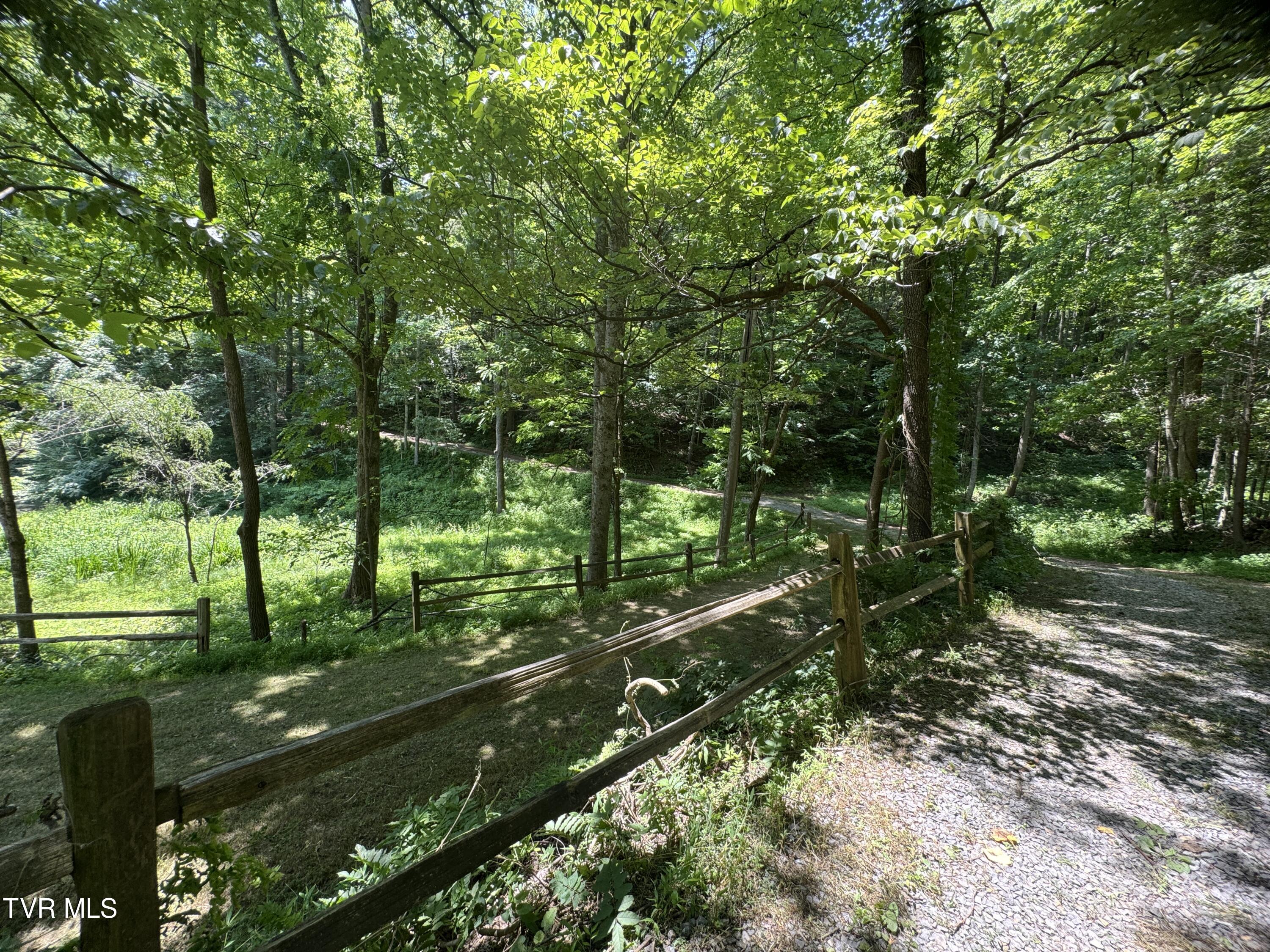 946 Bull Mountain Road Del Rio, TN 37727 - Photo 7 of 48 6