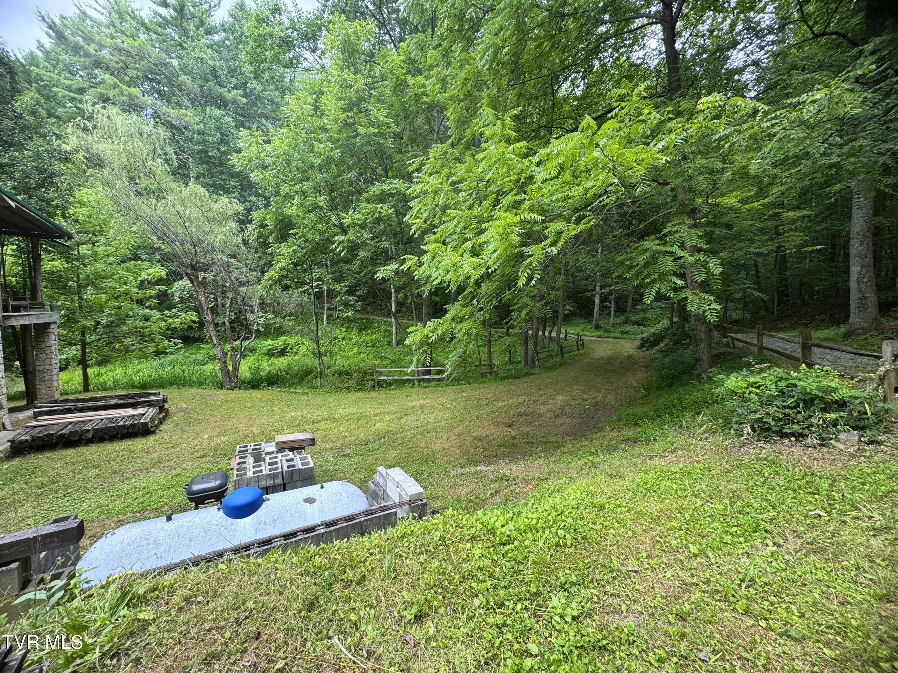 946 Bull Mountain Road Del Rio, TN 37727 - Photo 8 of 48 7