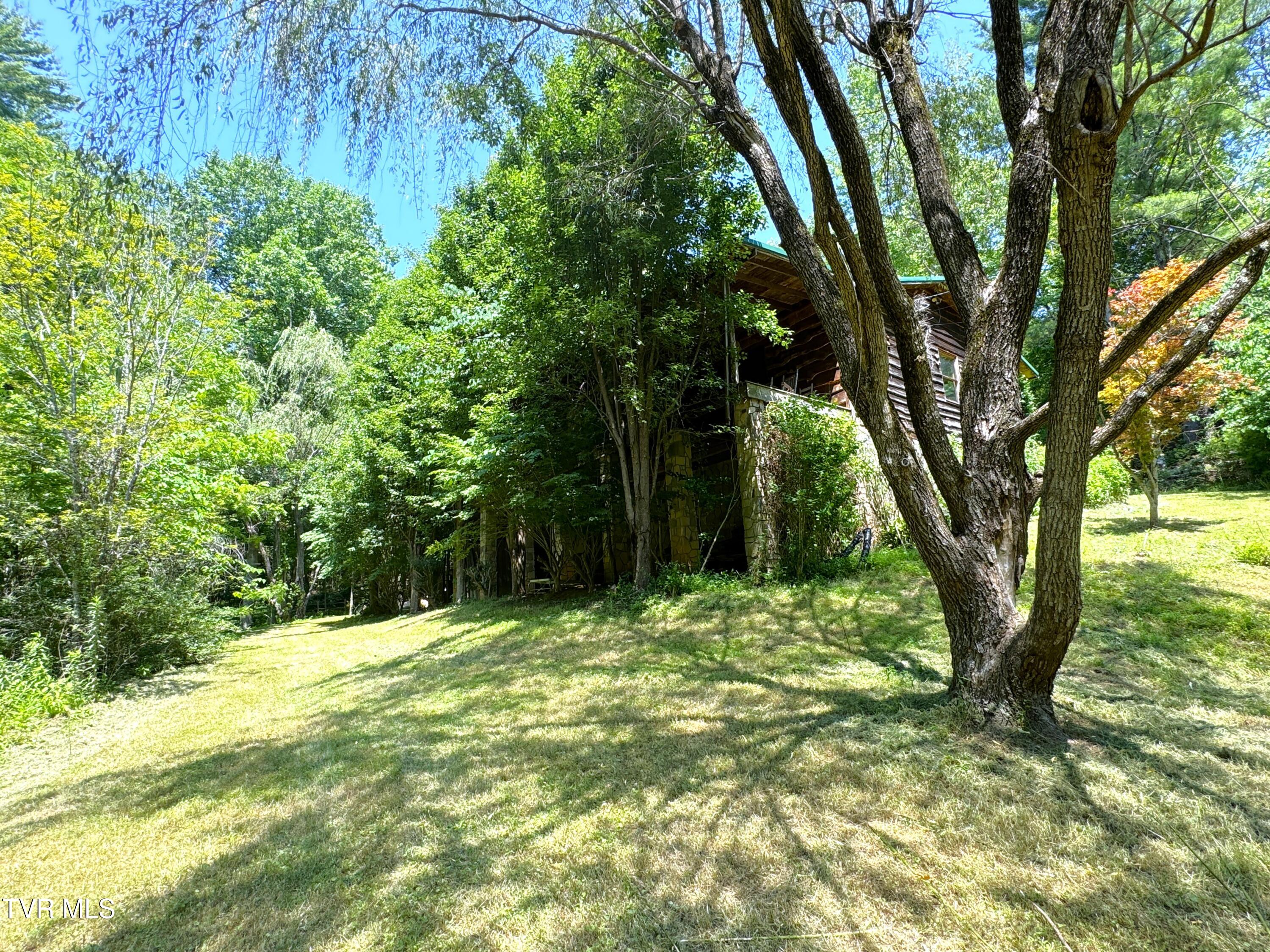 946 Bull Mountain Road Del Rio, TN 37727 - Photo 9 of 48 8
