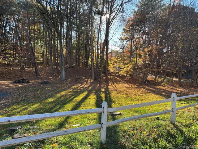 a view of a yard with street