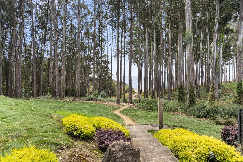 1313 Vía Tornasol Aptos, CA 95003 - Photo 4 of 38 a view of a backyard with large trees