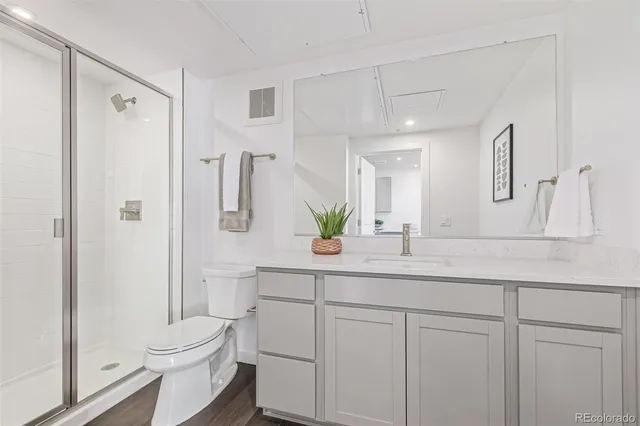 a bathroom with a sink a toilet a shower and a mirror
