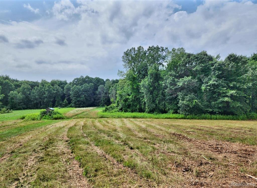 0 Lake George Road Oakland, MI 48363 - Photo 5 of 9