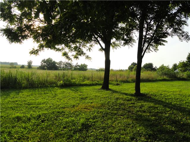 63 Overnack Road Lawrenceburg, TN 38464 - Photo 17 of 20 Acreage behind the home could be easily fenced for your livestock.