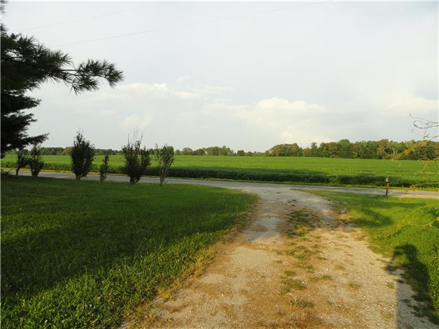 63 Overnack Road Lawrenceburg, TN 38464 - Photo 18 of 20 View across the street from the Home.