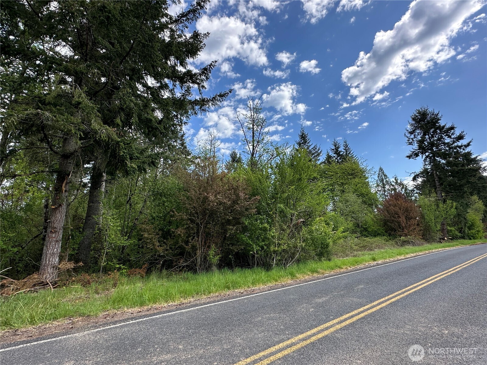 0 Park Road Winlock, WA 98596 - Photo 4 of 5 Gallery Image 4
