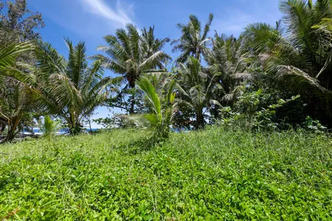 $750,000 | Keanae Road, Haiku, HI 96708