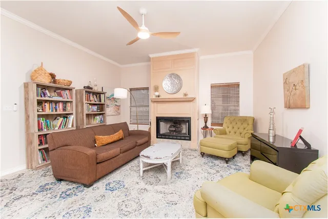 a living room with furniture a rug and a fireplace