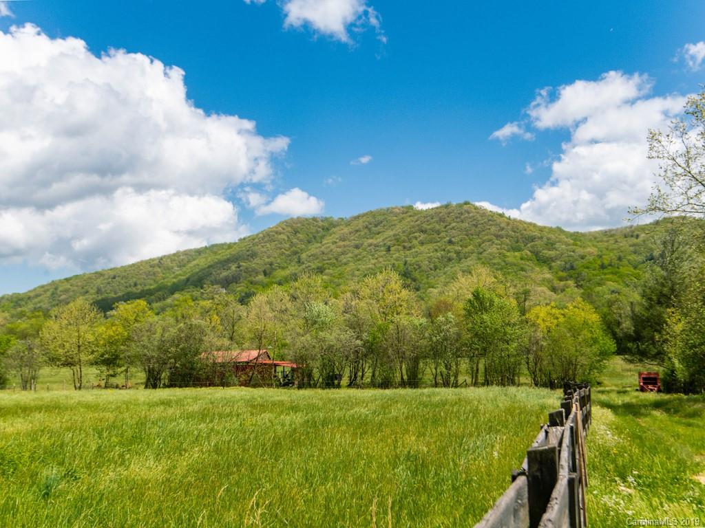 1024 Cane Creek Road Fletcher, NC 28732 - Photo 13 of 21 Gallery Image 13