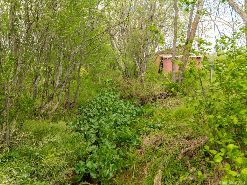 1024 Cane Creek Road Fletcher, NC 28732 - Photo 15 of 21 Gallery Image 15