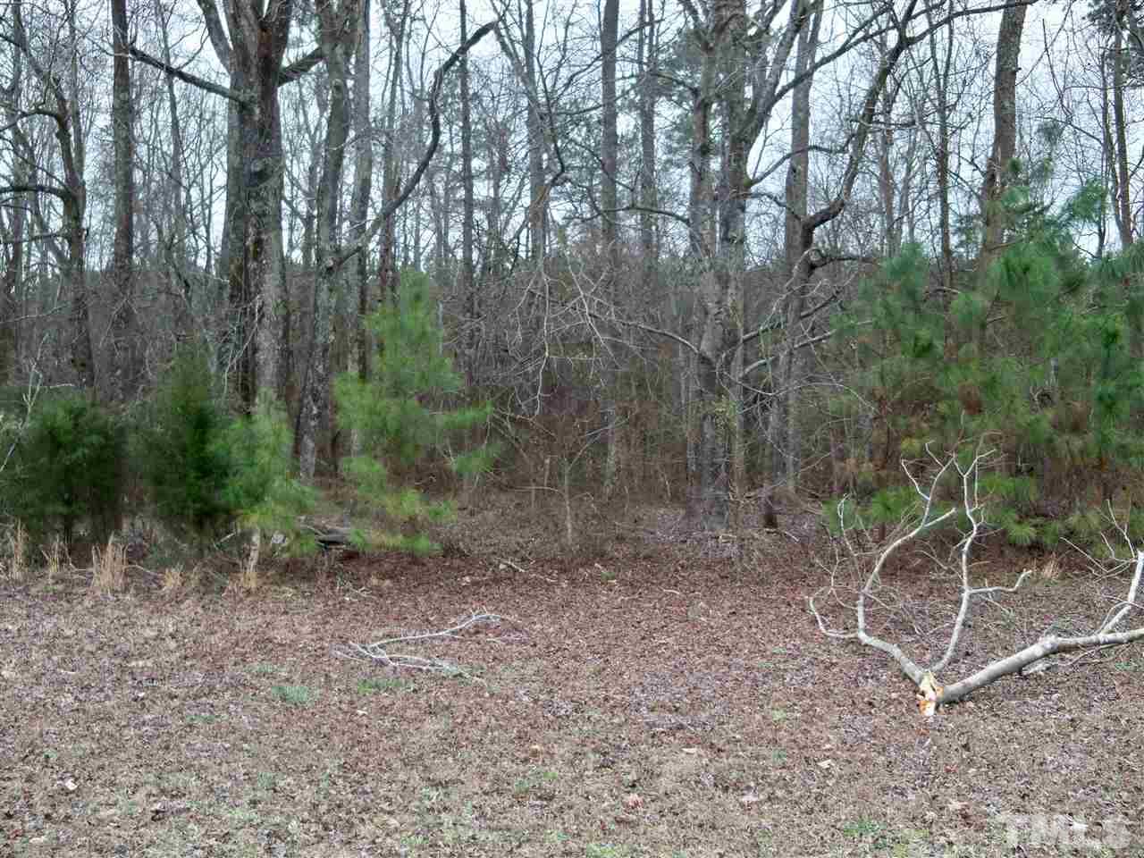 0 Lucas Road Knightdale, NC 27545 - Photo 5 of 8