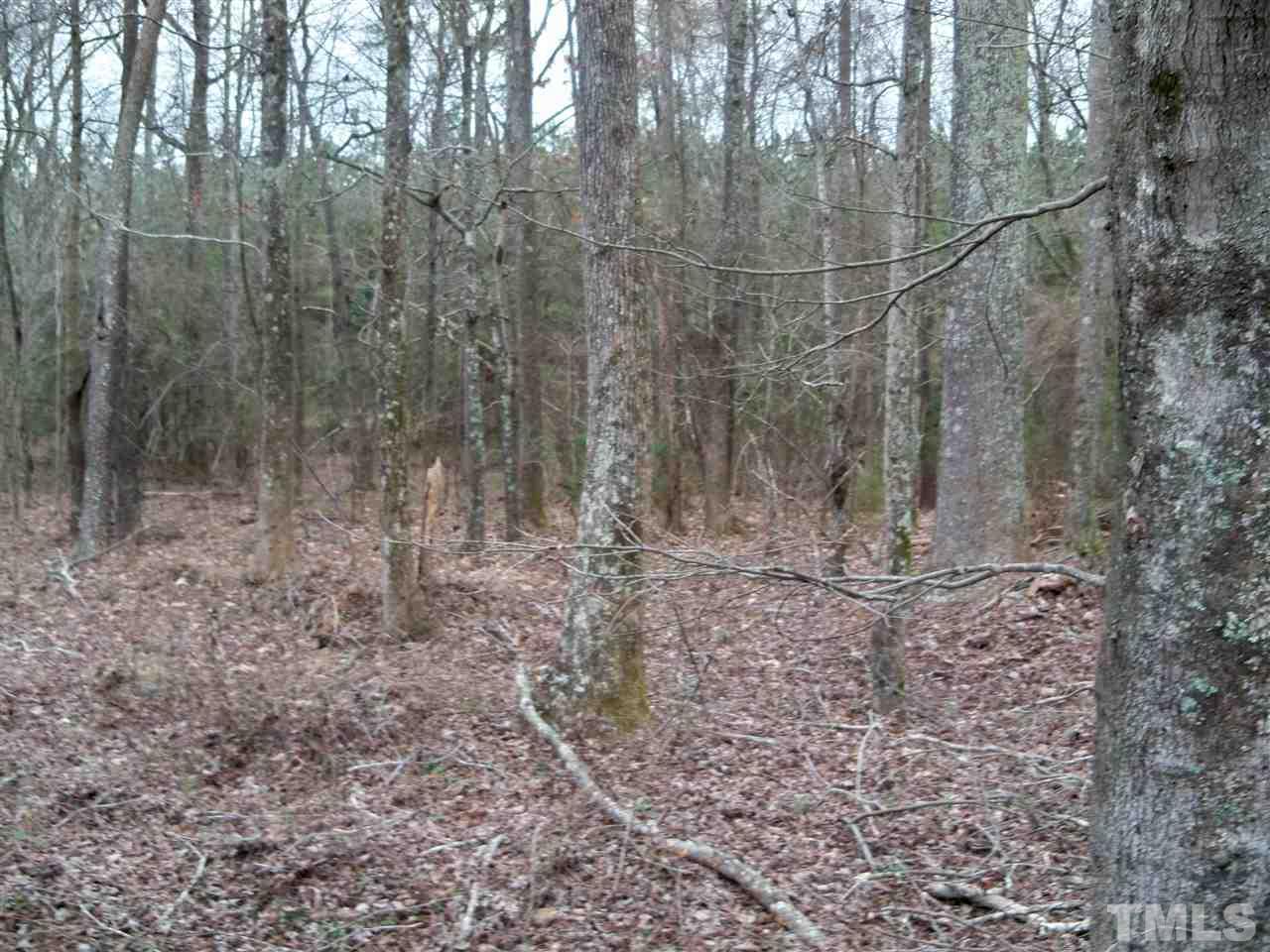 0 Lucas Road Knightdale, NC 27545 - Photo 7 of 8
